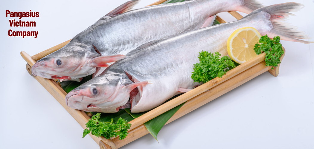 Pangasius Vietnam Company 4