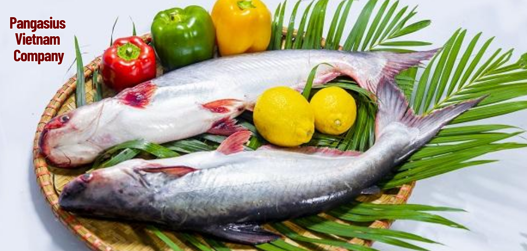 Pangasius Vietnam Company 5