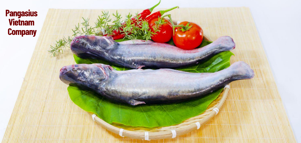 Pangasius Vietnam Company 7