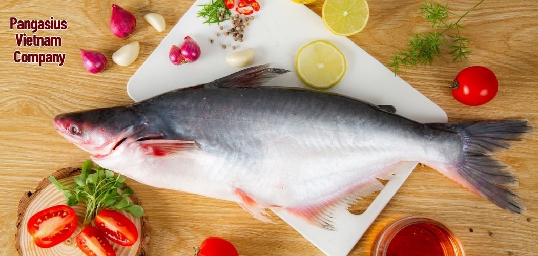 Challenges & Solutions in Global Seafood Logistics for Pangasius 1 Pangasius Vietnam Company 9