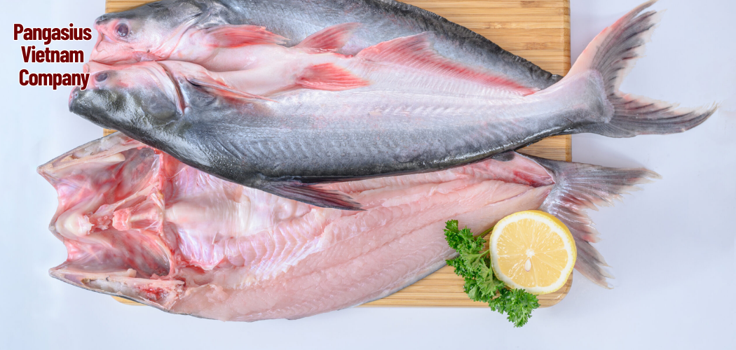 Pangasius Vietnam Company